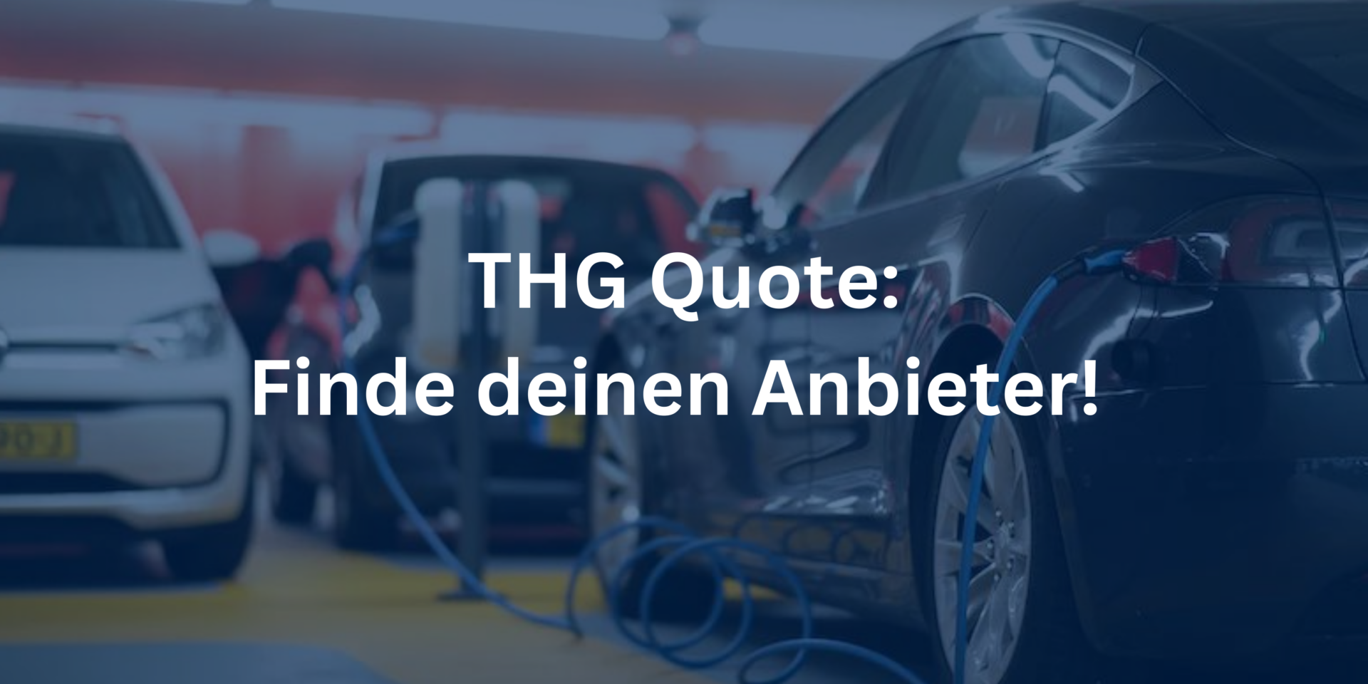 THG Quote Vergleich